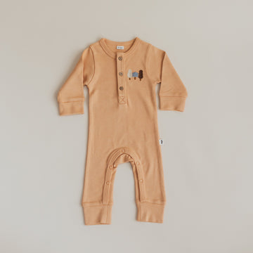 Footless Babygrow